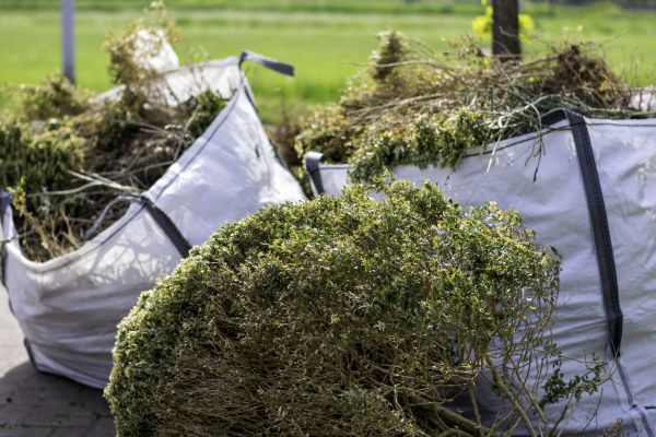 Cost of Shrubs Removal in Hayden